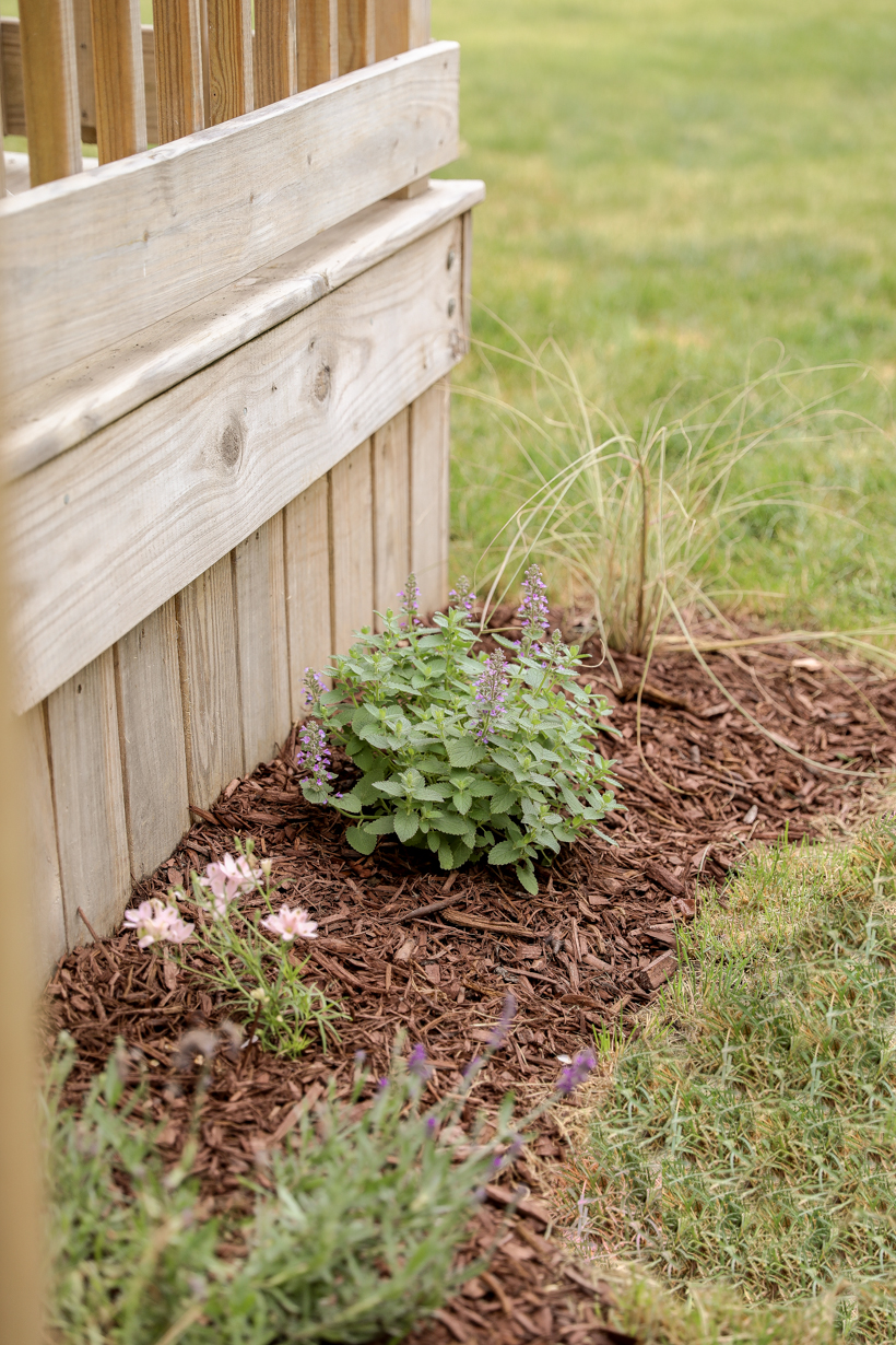 Creating a new flower bed