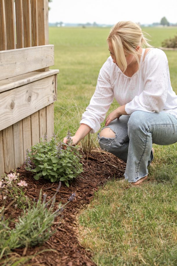 6 Steps to Create a New Flower Bed Love Grows Wild