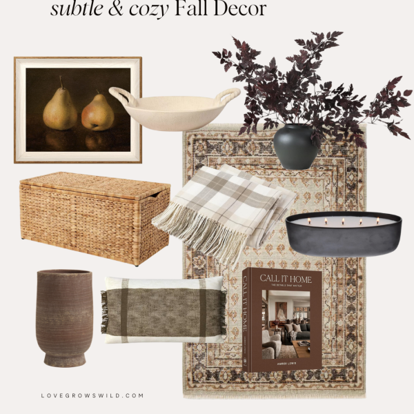 Fall Decor Finds