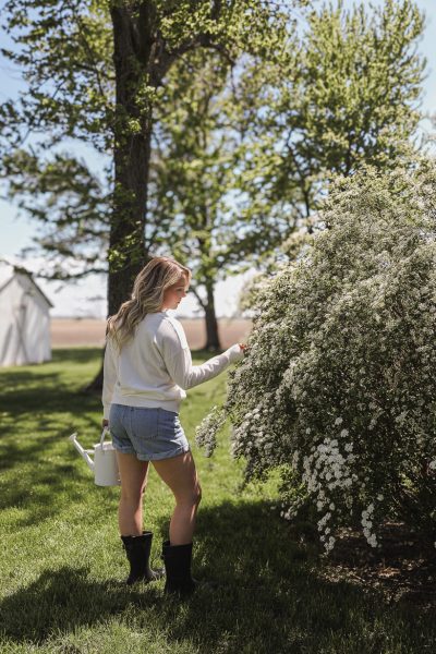 Spring Cleaning Checklist