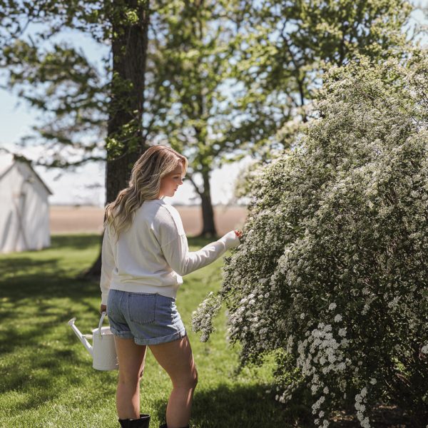 Spring Cleaning Checklist
