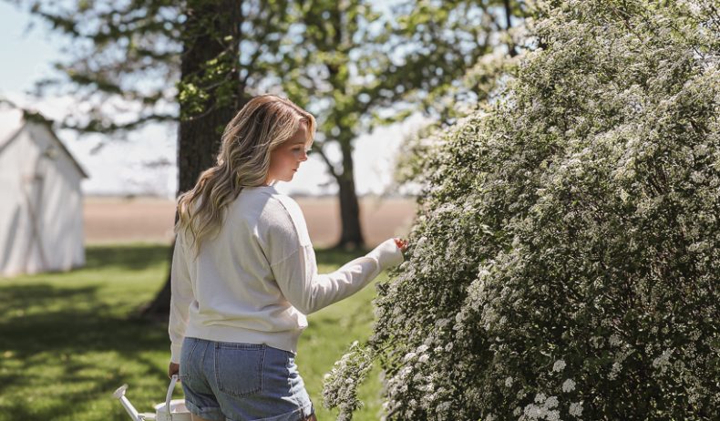 Spring Cleaning Checklist