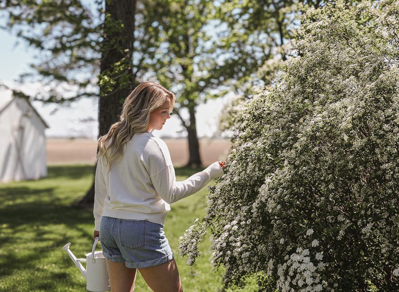 Spring Cleaning Checklist