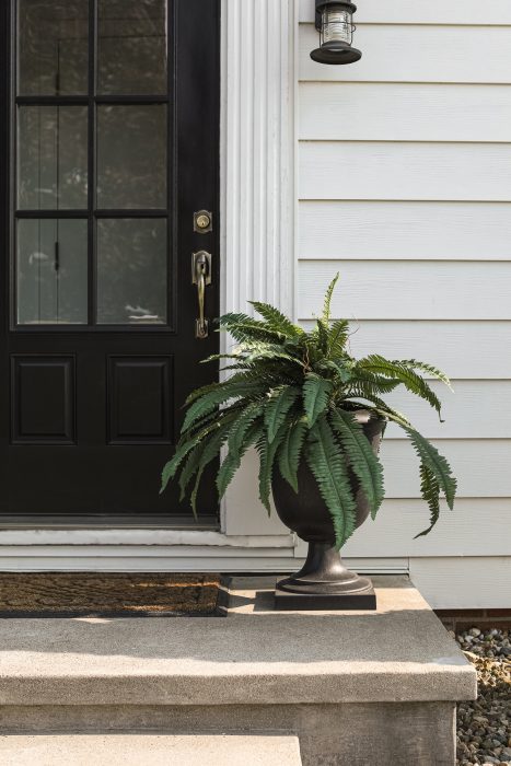 Outdoor Artificial Plants