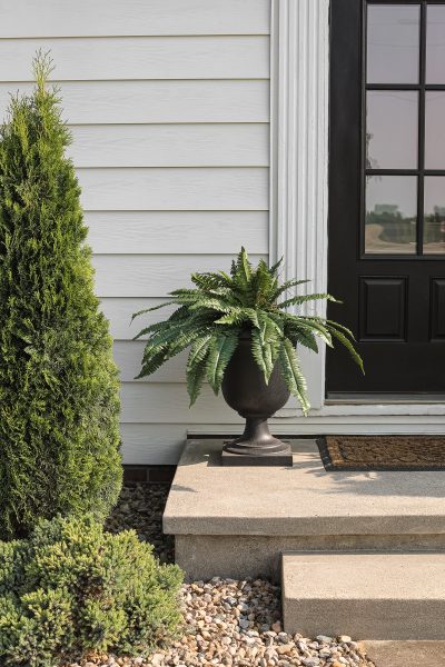 Outdoor Artificial Plants