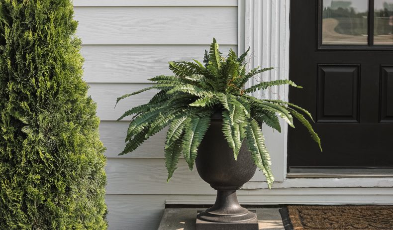 Outdoor Artificial Plants