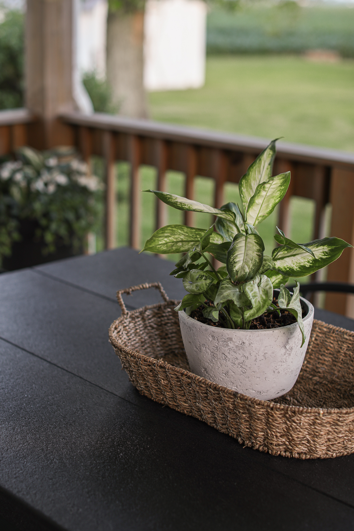 Polywood Outdoor Dining Table
