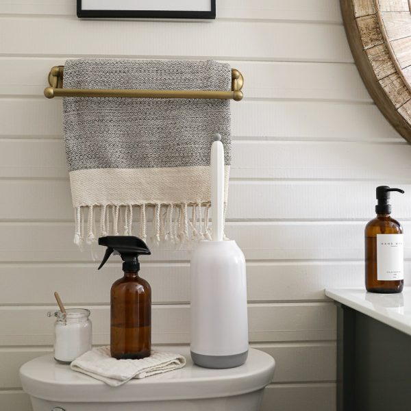 How to Clean Your Toilet Naturally